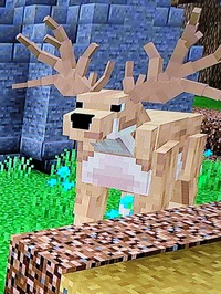 Deer