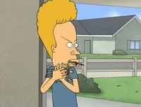 Beavis