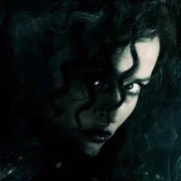 Bellatrix 