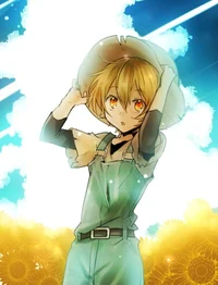 Miyazawa Kenji - BSD