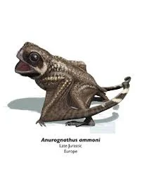 Anurognathus