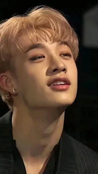 Bang Chan-husband