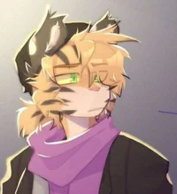 Tigry Uniform -Piggy