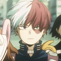 Shoto Todoroki