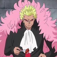 Husband - Doflamingo