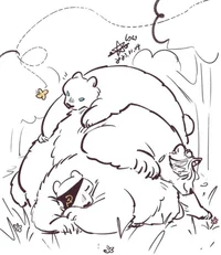 Bear family