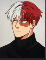 Shoto Todoroki 