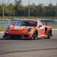 GT3 heart driver 