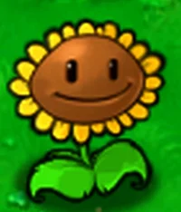 Sunflower PVZ