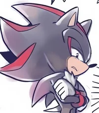 Sonic or Shadow
