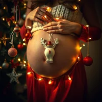 Pregnant Christmas