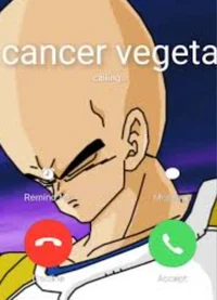 Vegeta