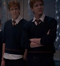 Weasley twins 