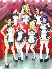 Your maid kunoichies