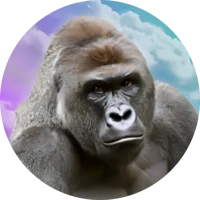 Harambe