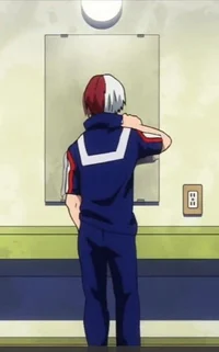 Shoto Todoroki 