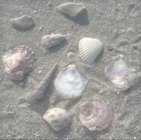 Beach day