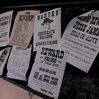 Outlaw Husband 