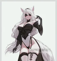 Nier K10