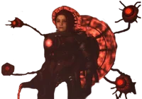 Duchess Astro Toilet