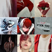 Shoto Todoroki