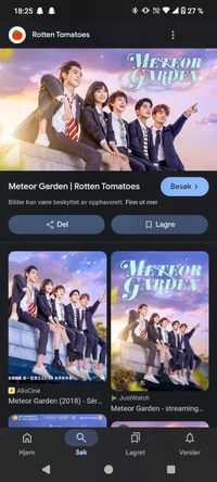Meteor garden 