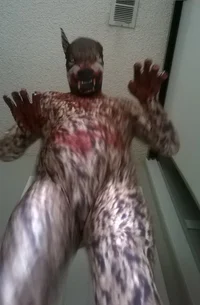 Wolf Morphsuit 