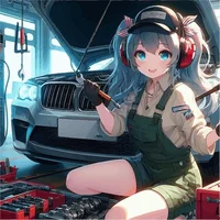 The car mechanic gir