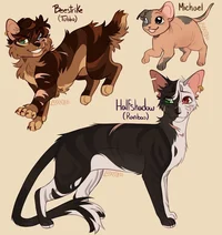 DSMP Warrior Cats