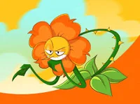 Cagney Carnation