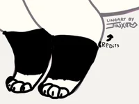 cat paw sock tf
