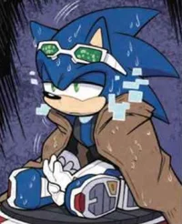 Homeless Sonic