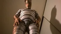Tiger Morphsuit 