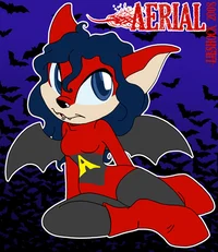 Aerial The Acro-Bat