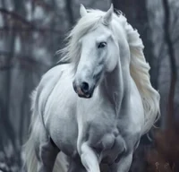 Christmas-Special RP