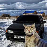 nikitunc