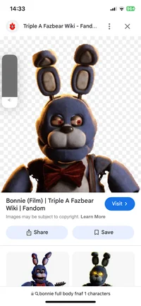 Bonnie bunny 