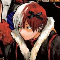 Shoto Todoroki