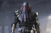 Krueger-BorderCollie