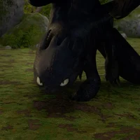 Toothless-1