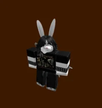asdwz458 