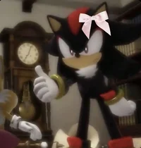 Shadow The Hedgehog 