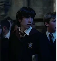 Neville Longbottom 