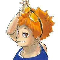 shoyo Hinata 