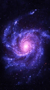 Universo