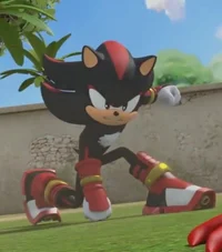 Shadow The Hedgehog