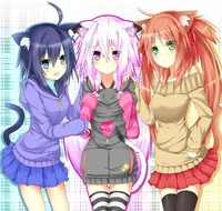 Neko School