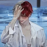 Shoto Todoroki 