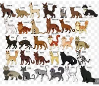 -Warrior cats RPG-