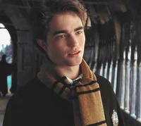 Cedric diggory 